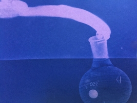 Bill Jones, purple gas, 2015, cyanotype, 8x10 inches